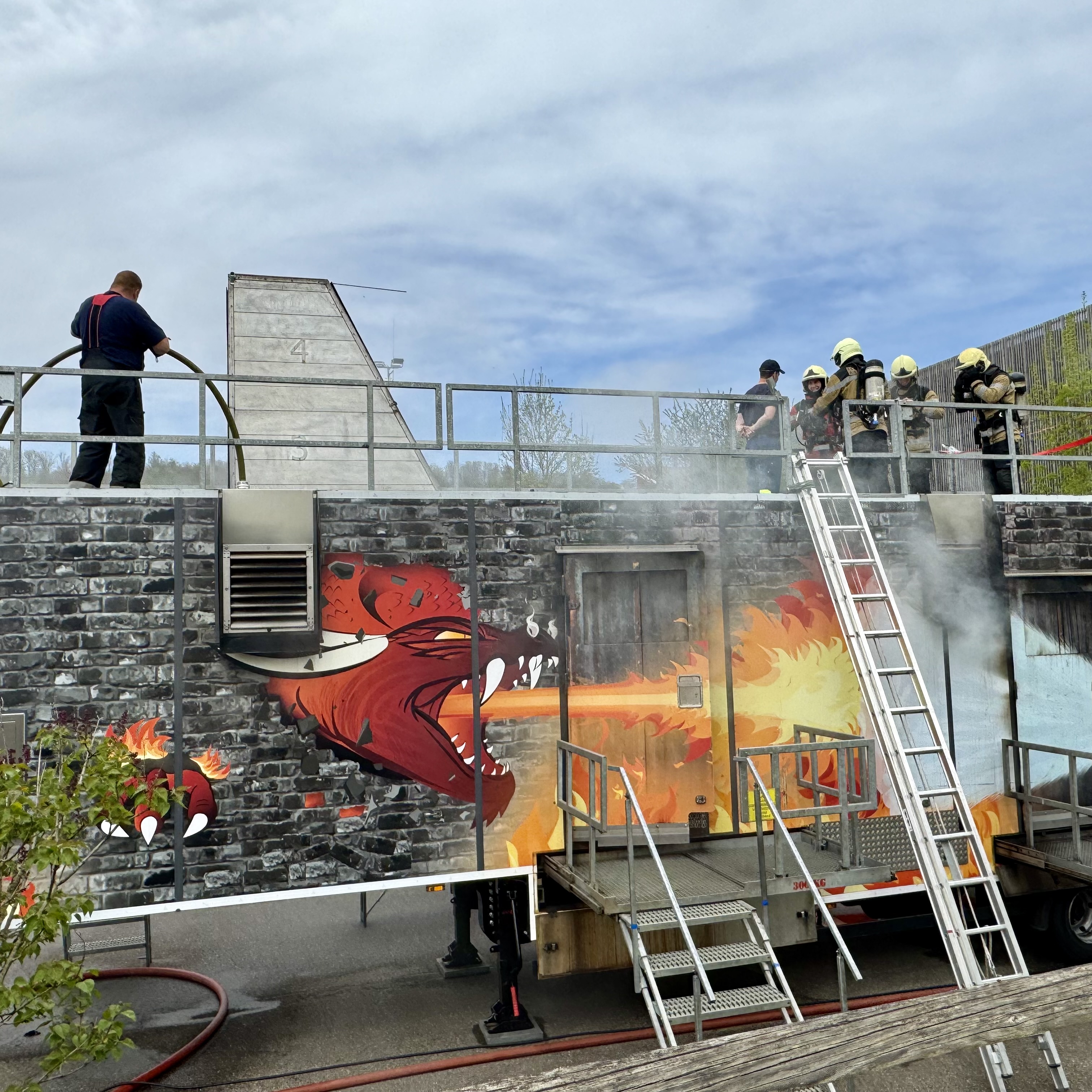 FireDragon.jpg FireDragon